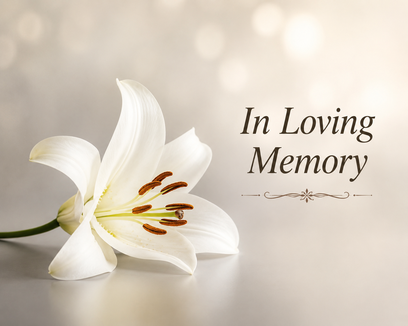 NaTravis Holt Wisconsin Death Obituary, Beloved Resident has Diedtalie Bowersock Valparaiso, IN Obituary Death, East Porter County School Board Member Dies 